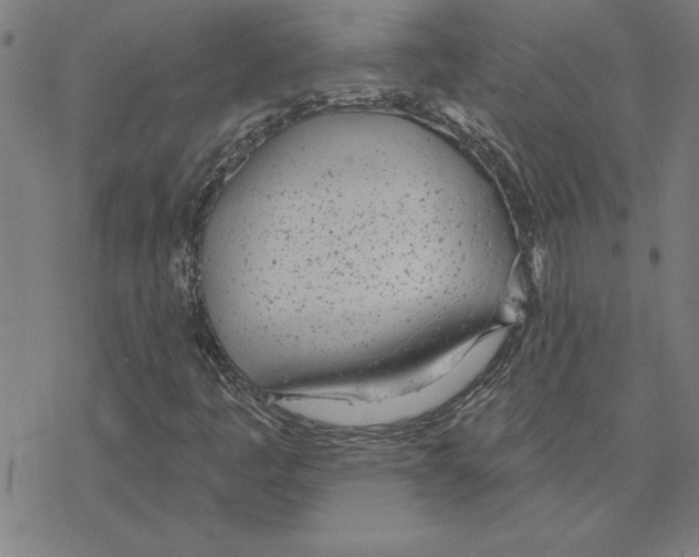 X0000078271445200612011707