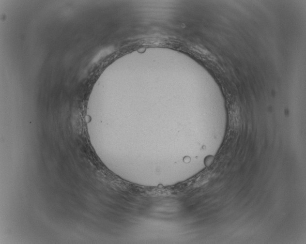 X0000078271446200612011707