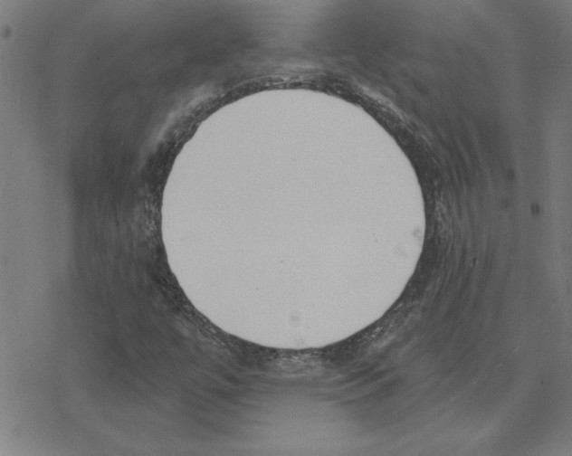 X0000078271447200612011707