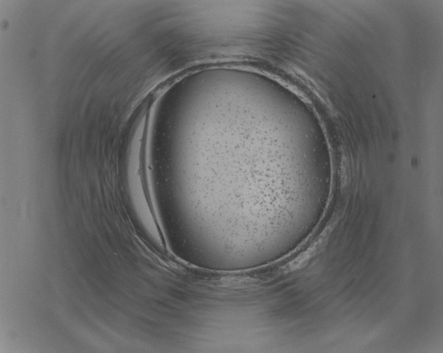 X0000078271449200612011707