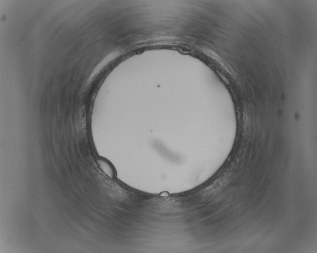 X0000078271450200612011707