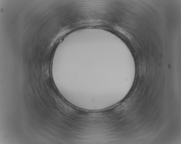 X0000078271451200612011707