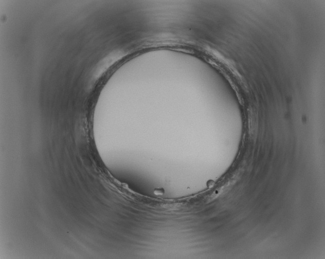 X0000078271453200612011707