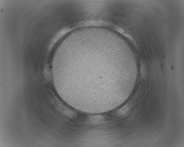 X0000078271454200612011707