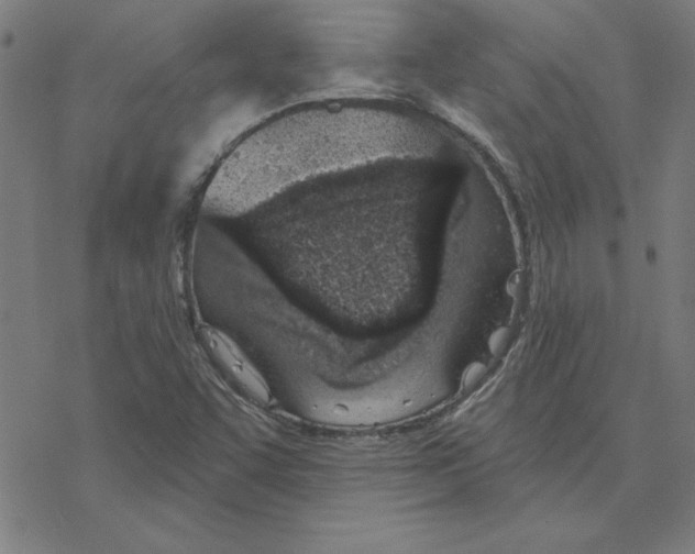 X0000078271455200612011707