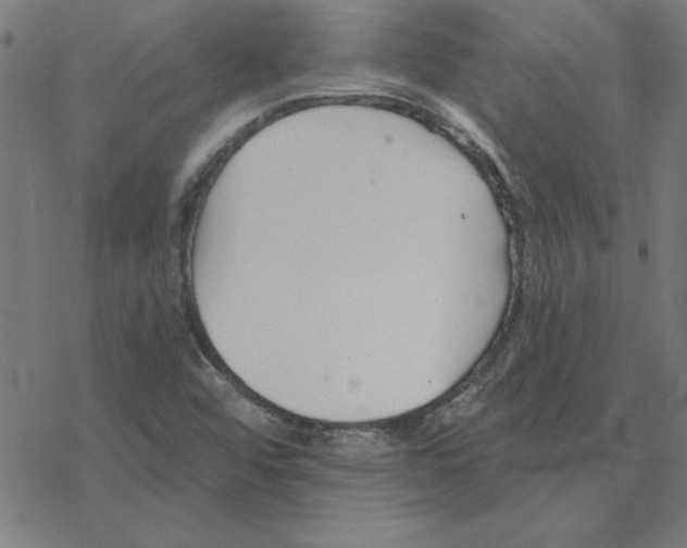 X0000078271456200612011707