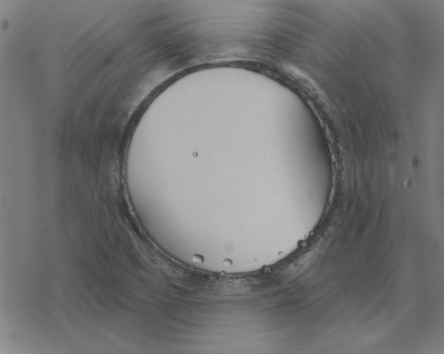 X0000078271457200612011707