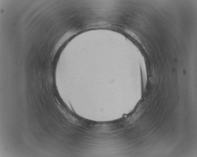 X0000078271458200612011707