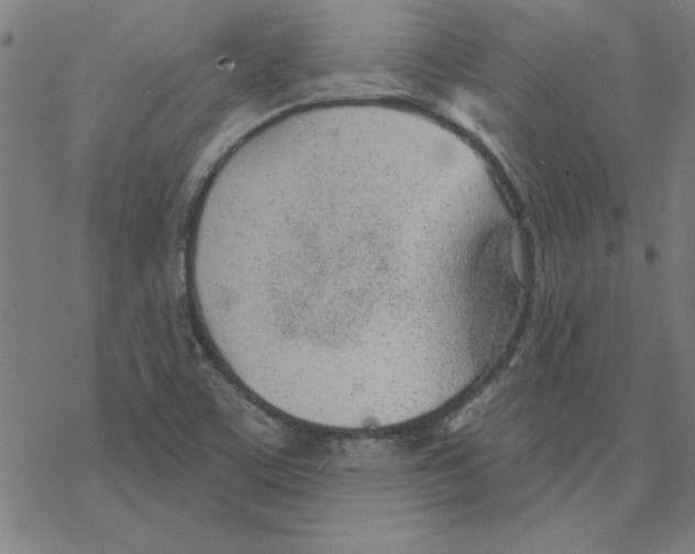 X0000078271459200612011707