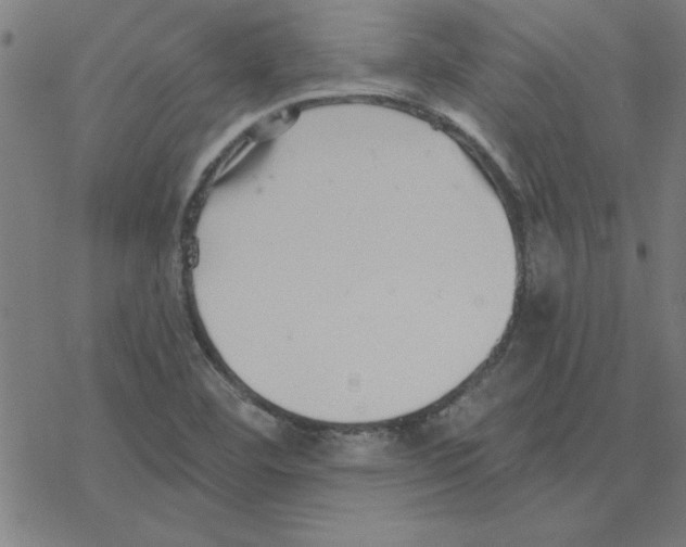 X0000078271460200612011707