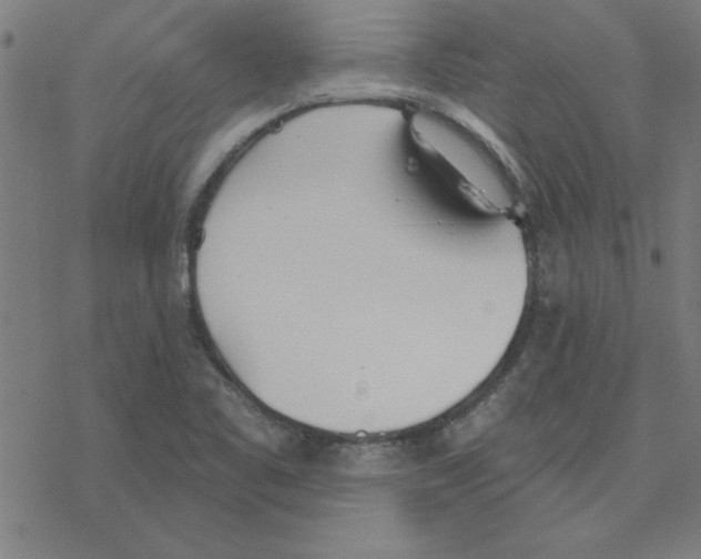 X0000078271461200612011707