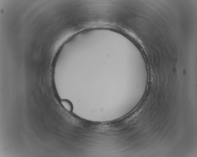 X0000078271463200612011707