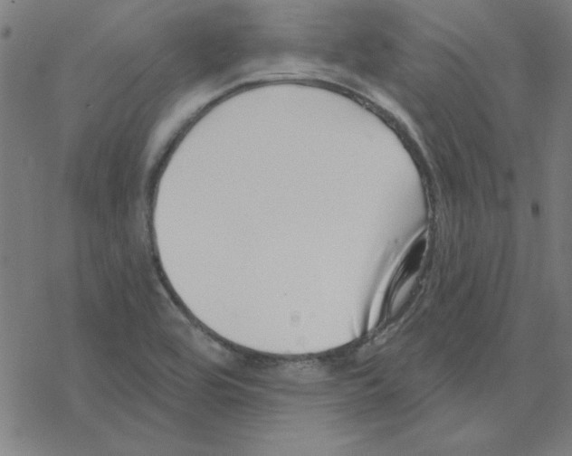 X0000078271464200612011707