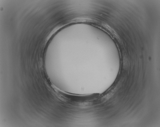 X0000078271465200612011707