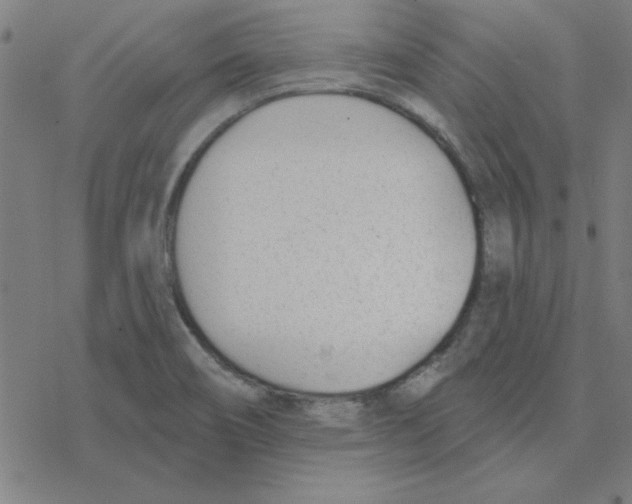 X0000078271466200612011707