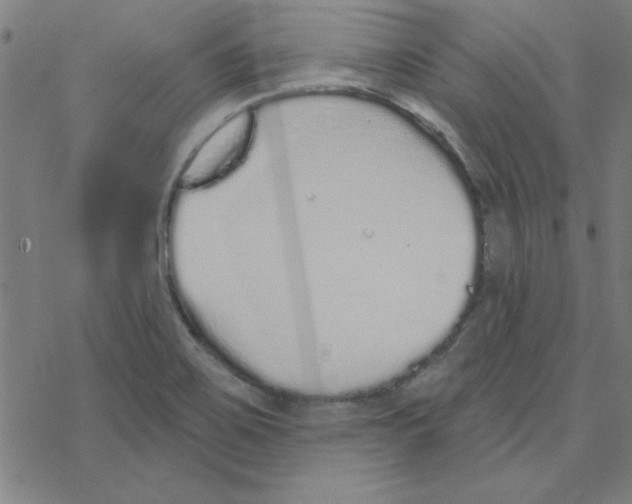 X0000078271467200612011707