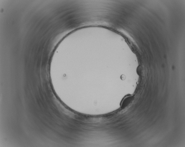 X0000078271468200612011707