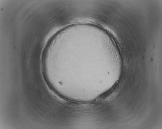 X0000078271471200612011707