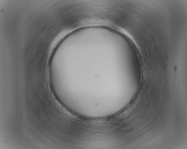 X0000078271472200612011707