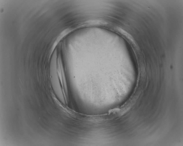 X0000078271473200612011707