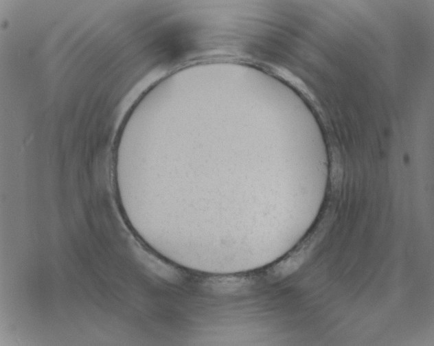 X0000078271474200612011707