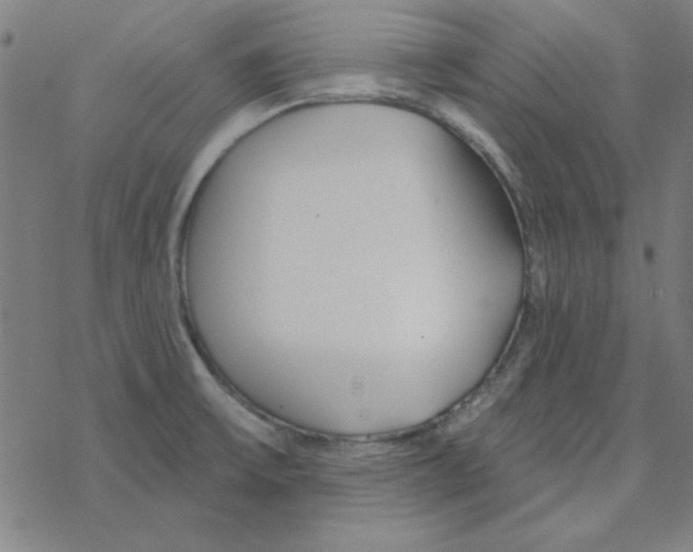 X0000078271475200612011707