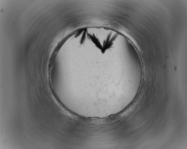 X0000078271477200612011707