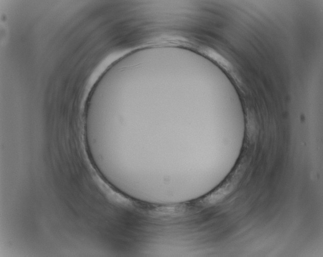 X0000078271478200612011707