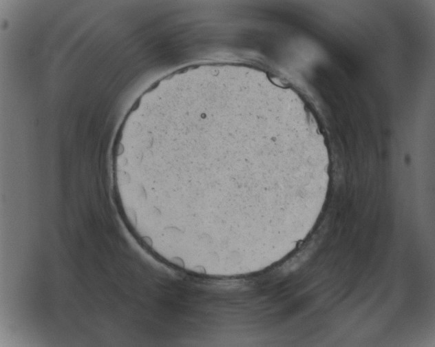 X0000078271479200612011707