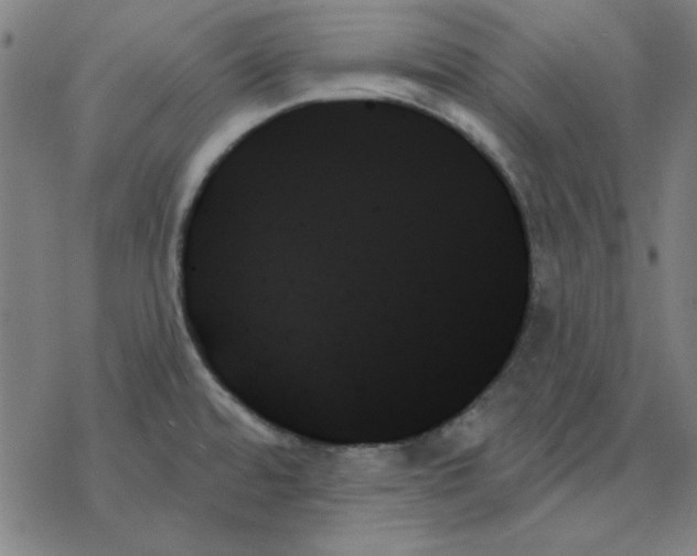 X0000078271480200612011707