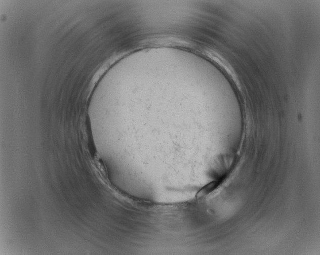 X0000078271481200612011707