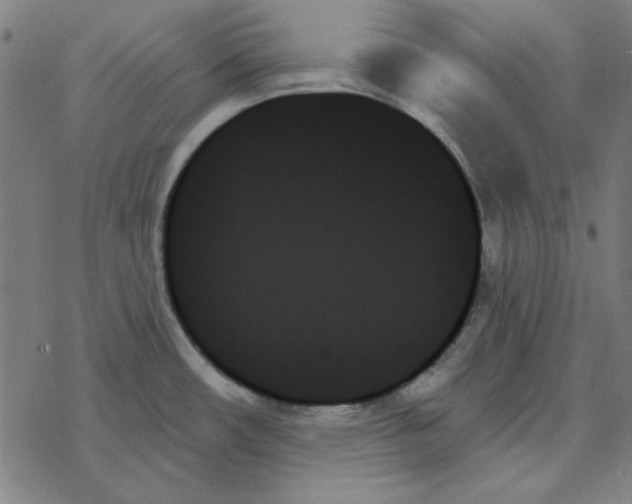 X0000078271482200612011707