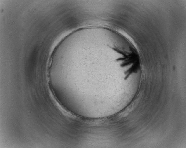 X0000078271485200612011707