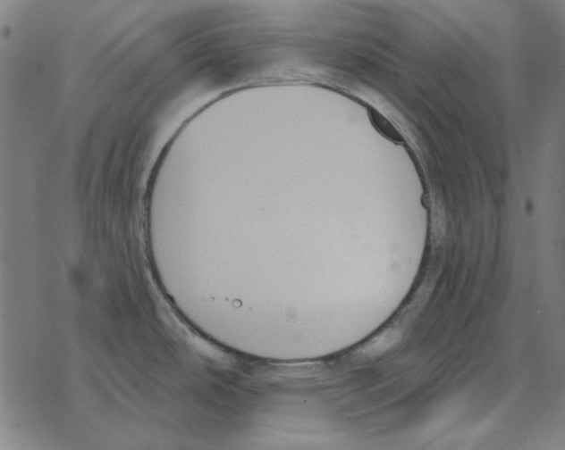 X0000078271486200612011707