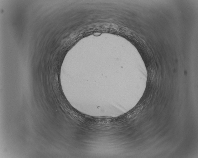 X0000078271489200612011706