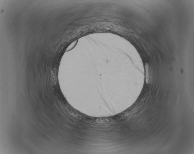 X0000078271491200612011706