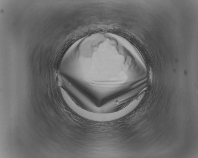 X0000078271492200612011706