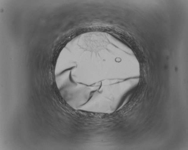 X0000078271493200612011706