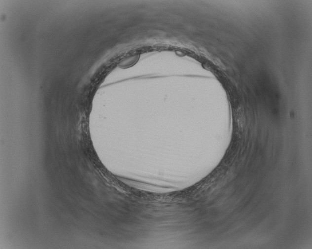 X0000078271495200612011706