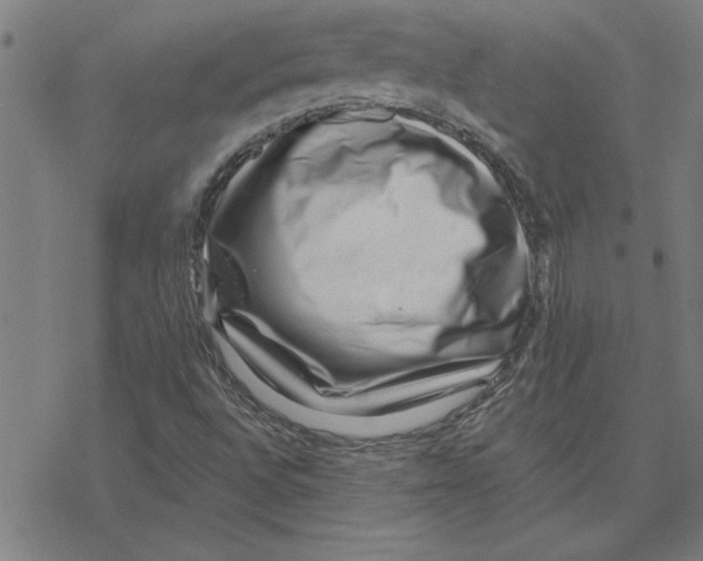 X0000078271496200612011706