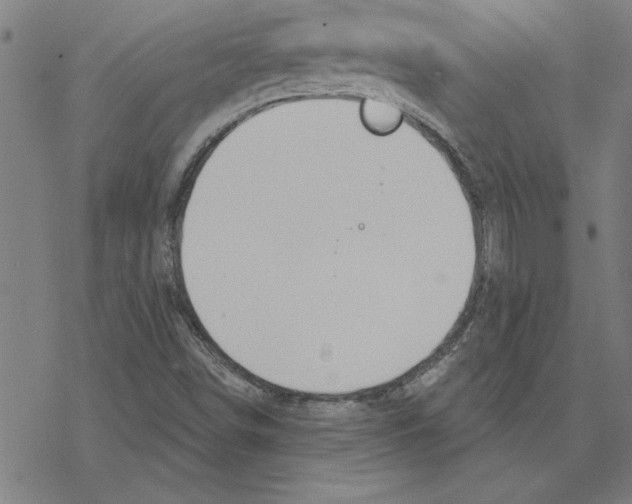 X0000078271498200612011706