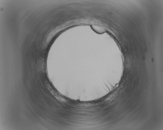 X0000078271499200612011706