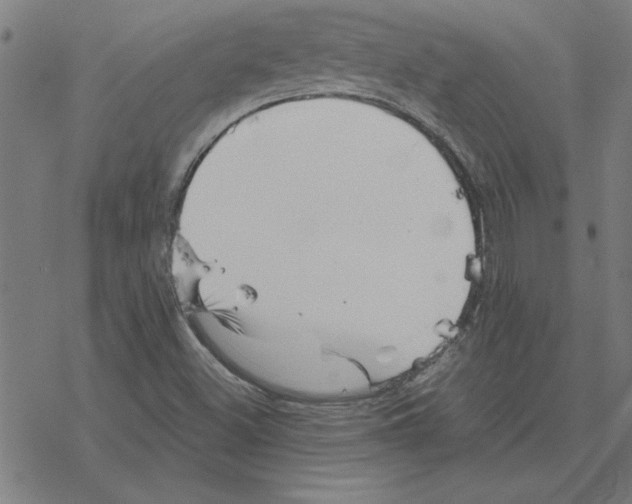 X0000078271500200612011706