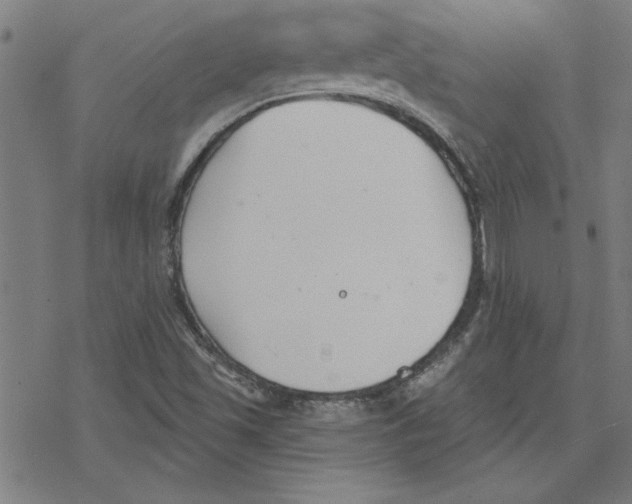 X0000078271501200612011706