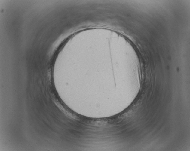 X0000078271503200612011706