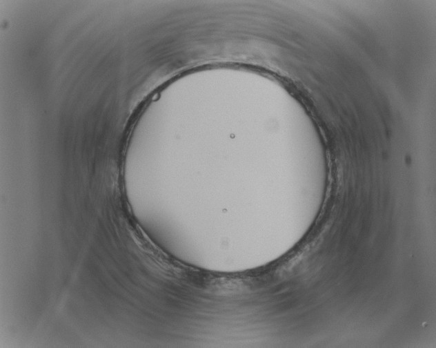 X0000078271505200612011706