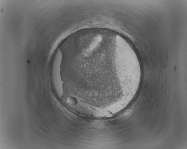 X0000078271506200612011706