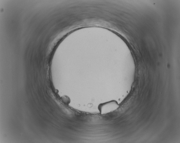 X0000078271507200612011706