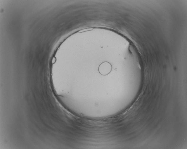 X0000078271508200612011706