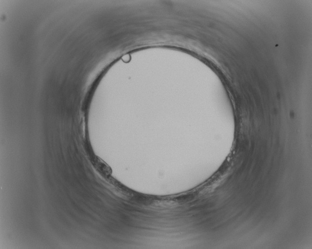 X0000078271509200612011706